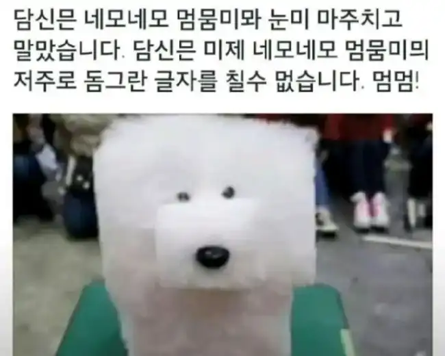 네모네모 멈뭄미